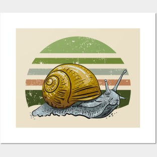 Snail Posters and Art